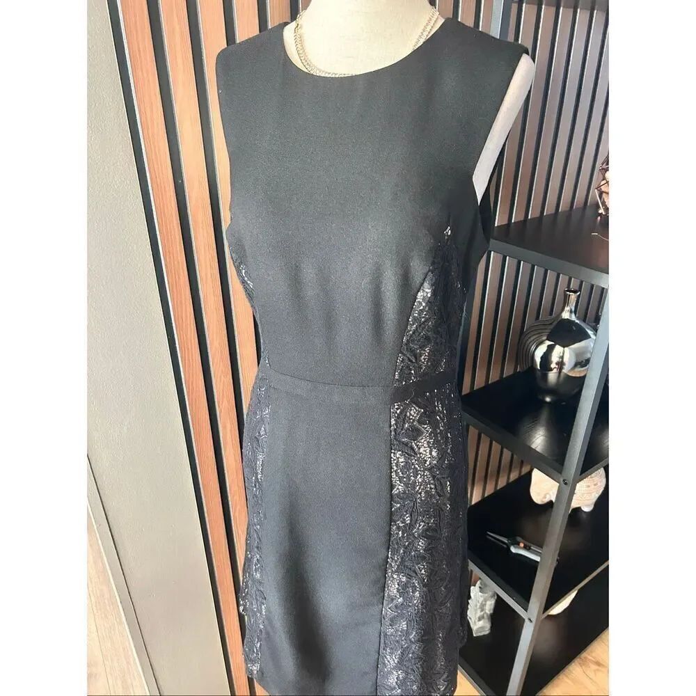 Lovely by Adrianna Papell Black Dress Lace Sides Sleeveless Size 4 Zip Closure